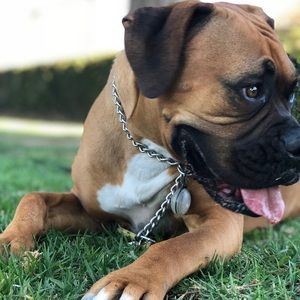 Meet your Posher, Shelly